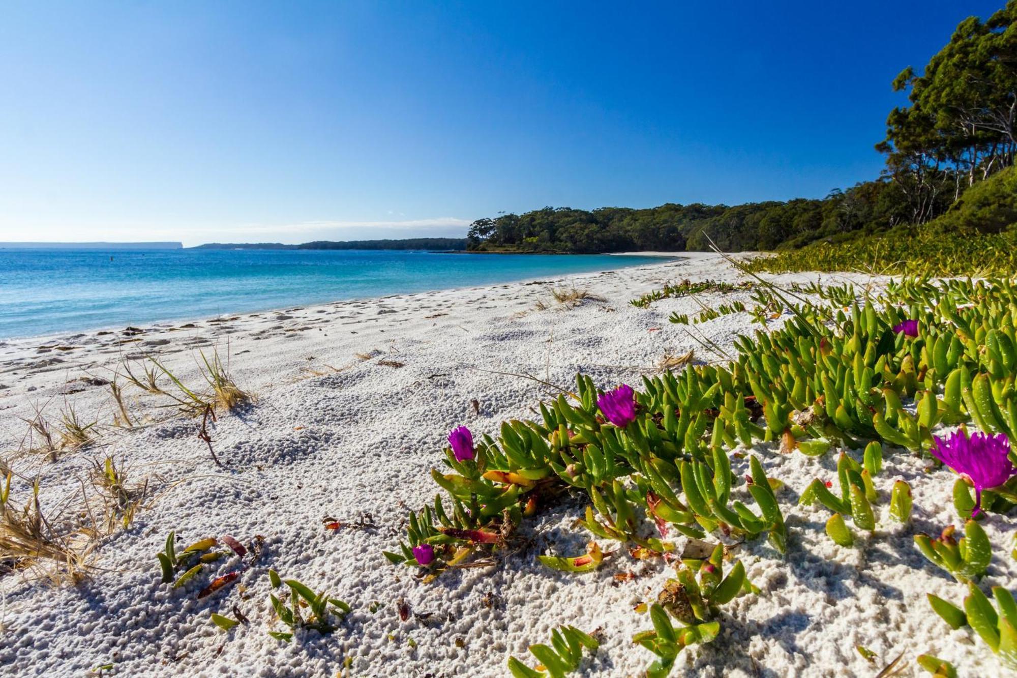 Bay And Bush Jervis Bay Villa Huskisson Luaran gambar